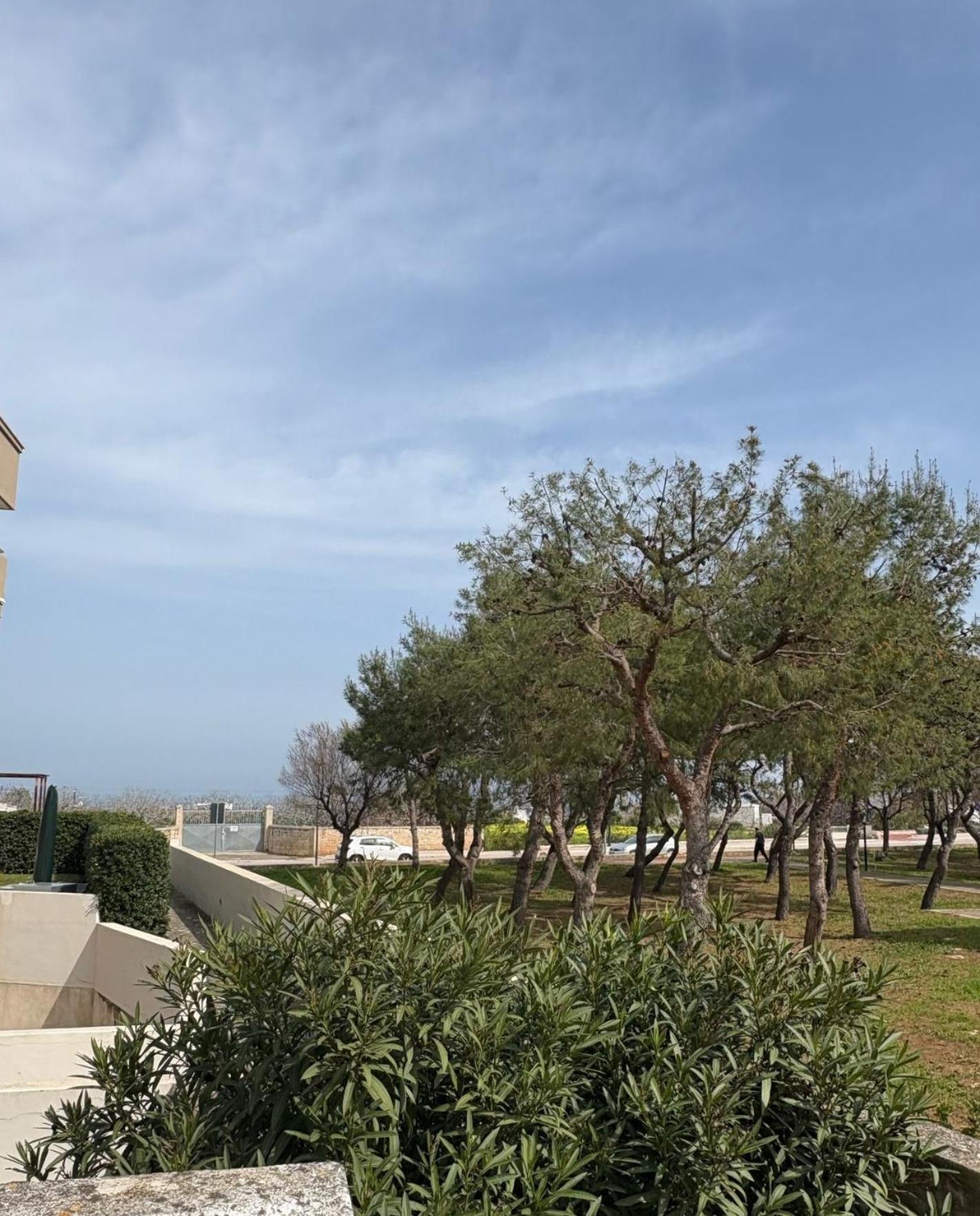 Venti Di Mare Hotel โมโนโปลี ภายนอก รูปภาพ
